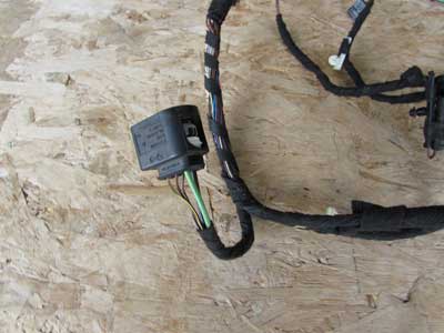 BMW Door Wiring Harness, Rear Left or Right 61129286250 F30 320i 328i 335i 340i M35